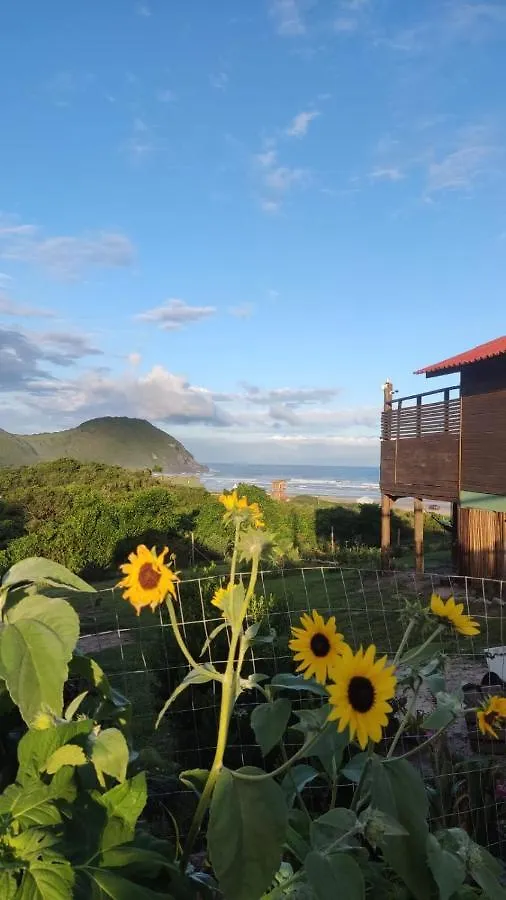 Koa Cabana Praia Do Luz インビトゥバ 0*,
